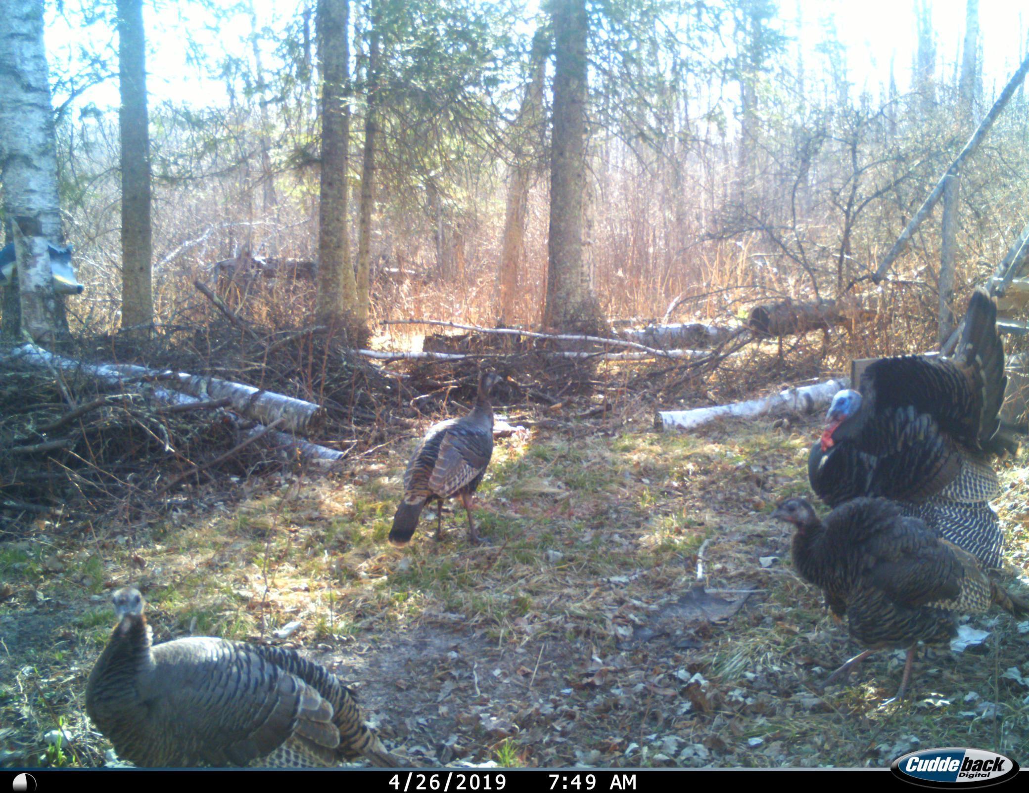 Tbd County 47 Property Photo 16