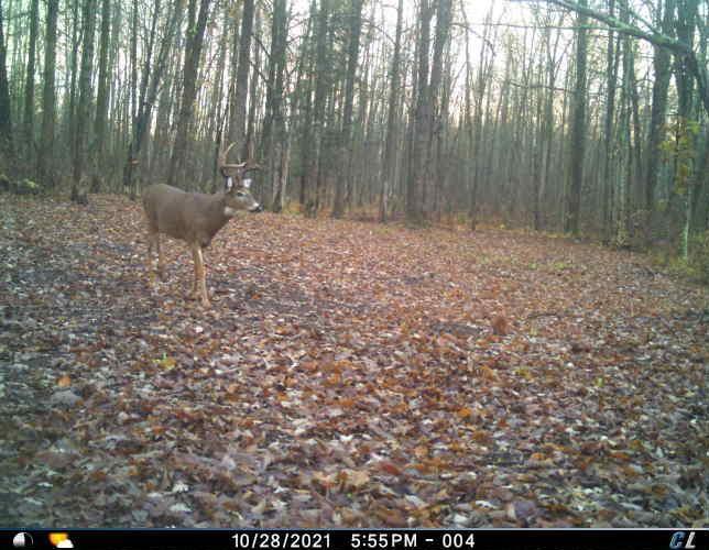 Tbd County 47 Property Photo 18