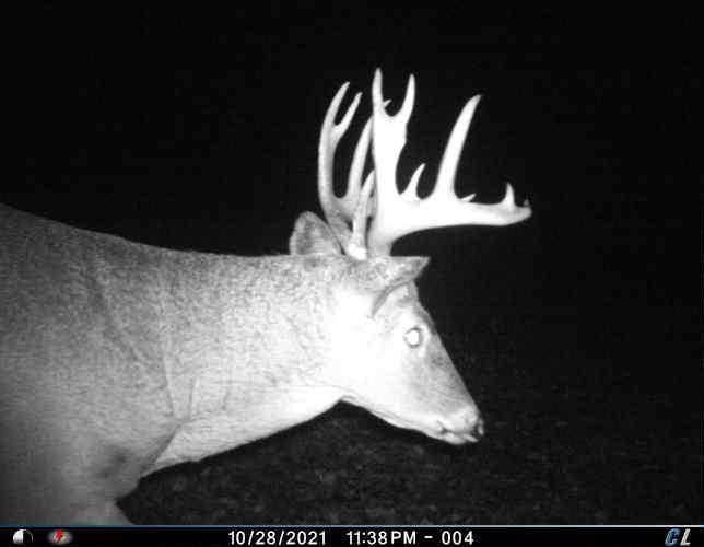 Tbd County 47 Property Photo 19