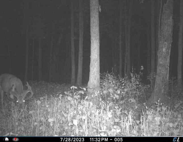 Tbd County 47 Property Photo 22