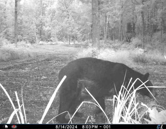 Tbd County 47 Property Photo 25