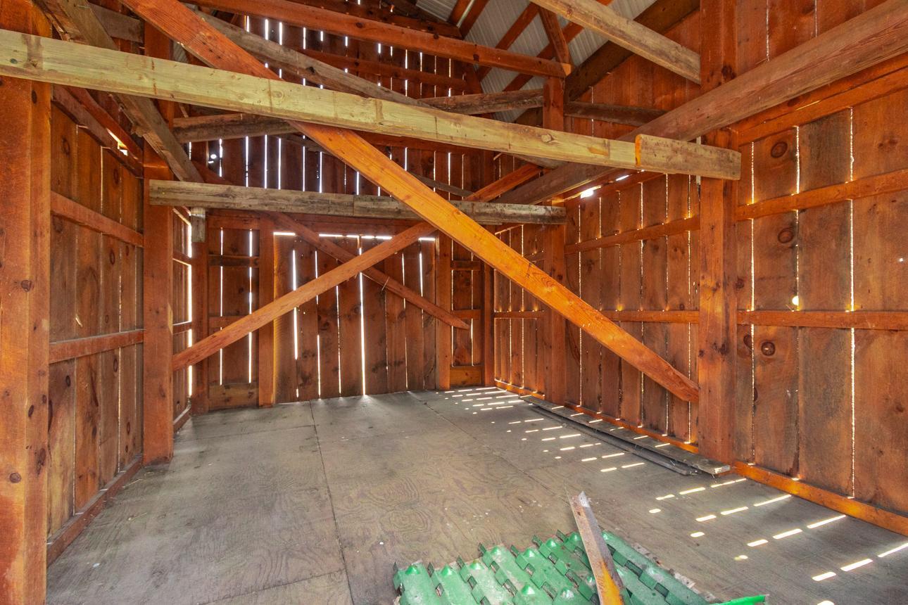 Xxx Orwell Road Property Photo 30