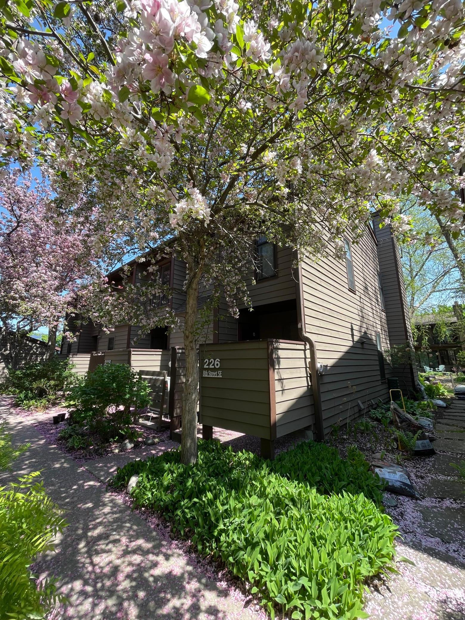 226 8th Street Property Photo 30