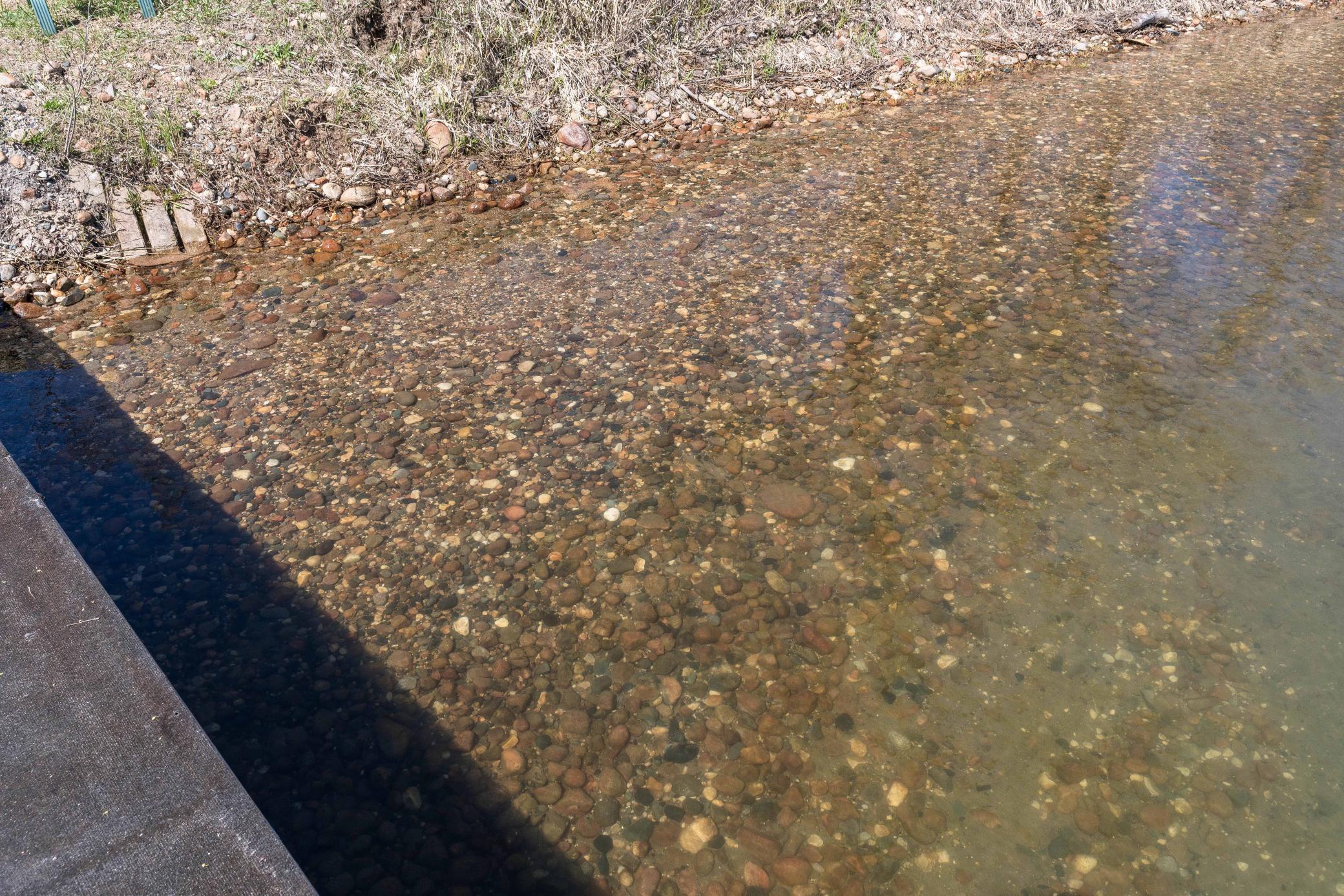 Xxx Shady Nook Dr Property Photo 5
