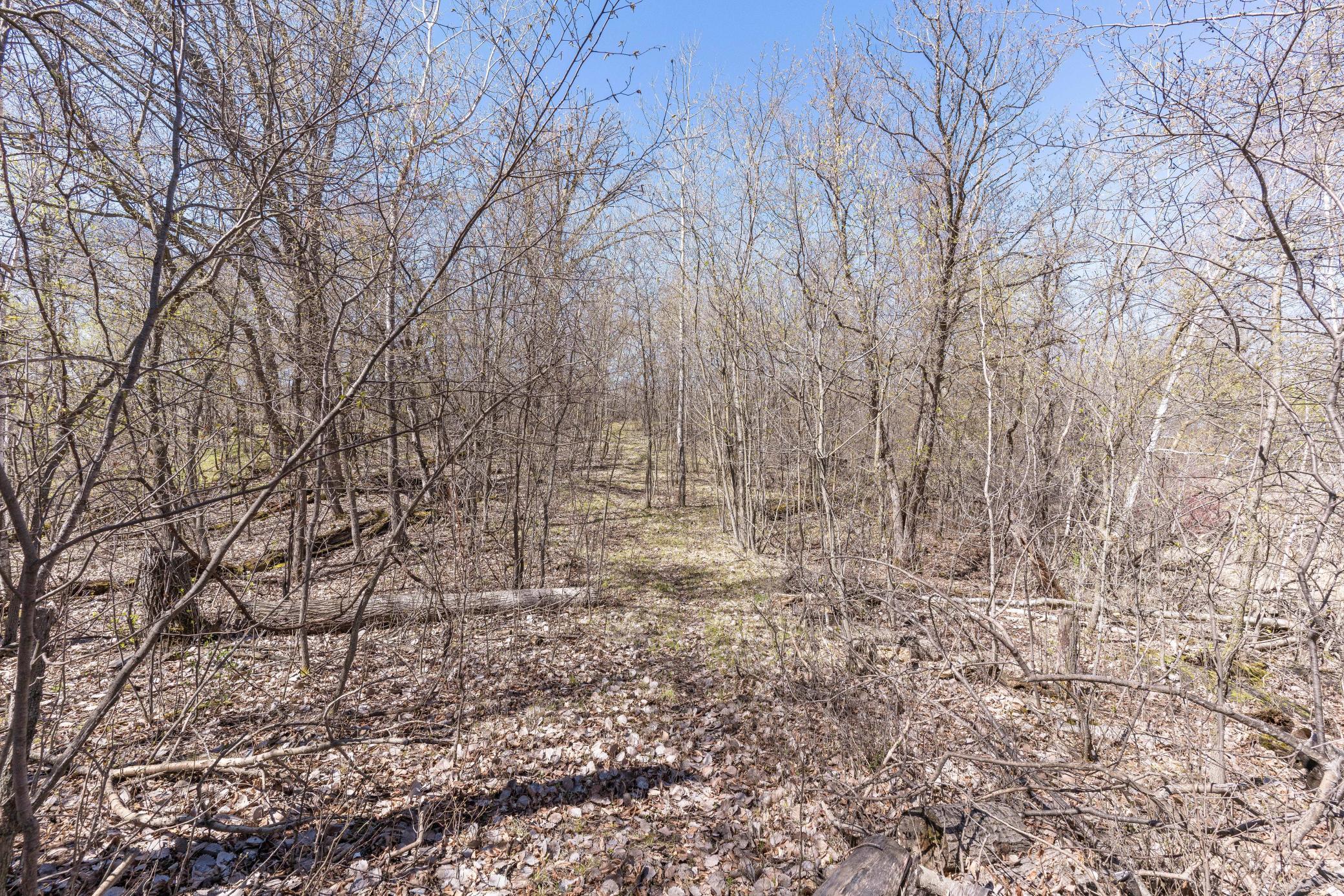 Xxx Shady Nook Dr Property Photo 9
