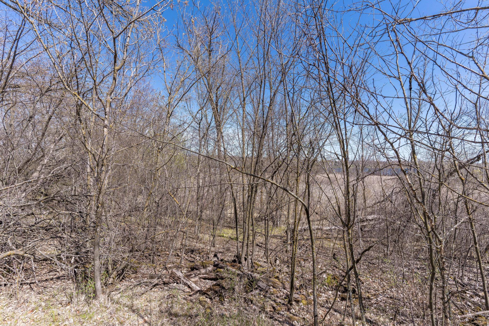 Xxx Shady Nook Dr Property Photo 11