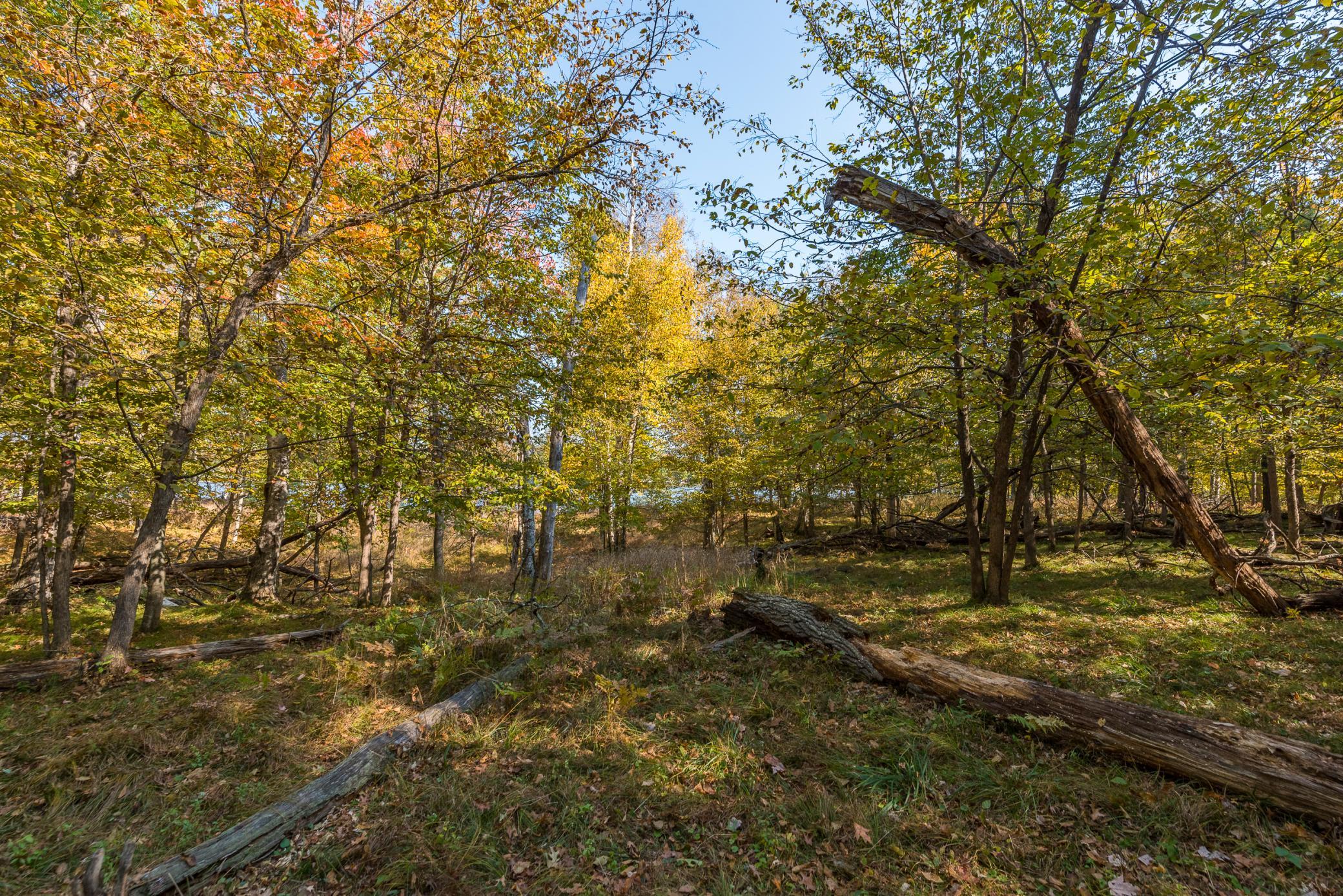 24583 Perrin Pt. Property Photo 5