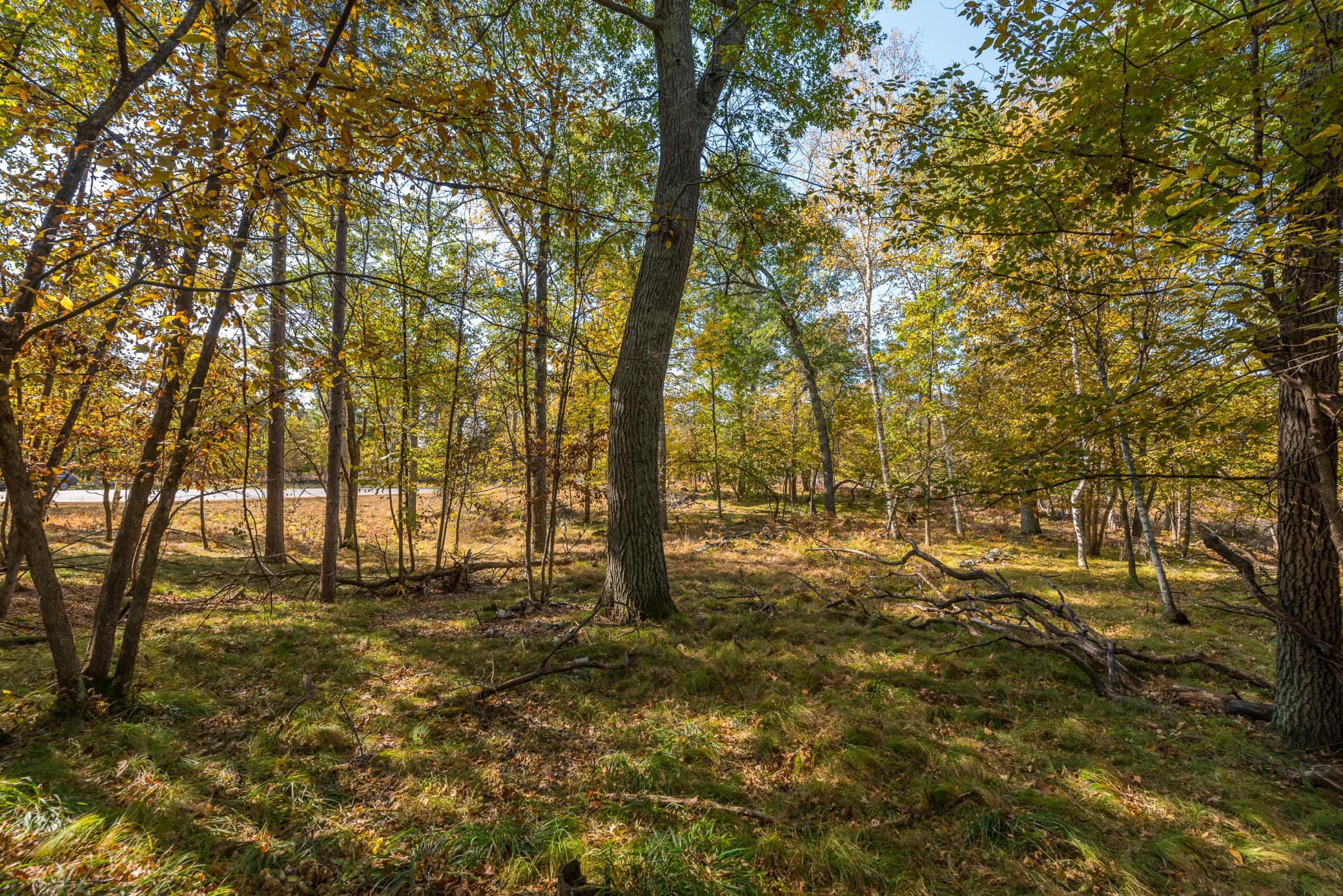 24583 Perrin Pt. Property Photo 9