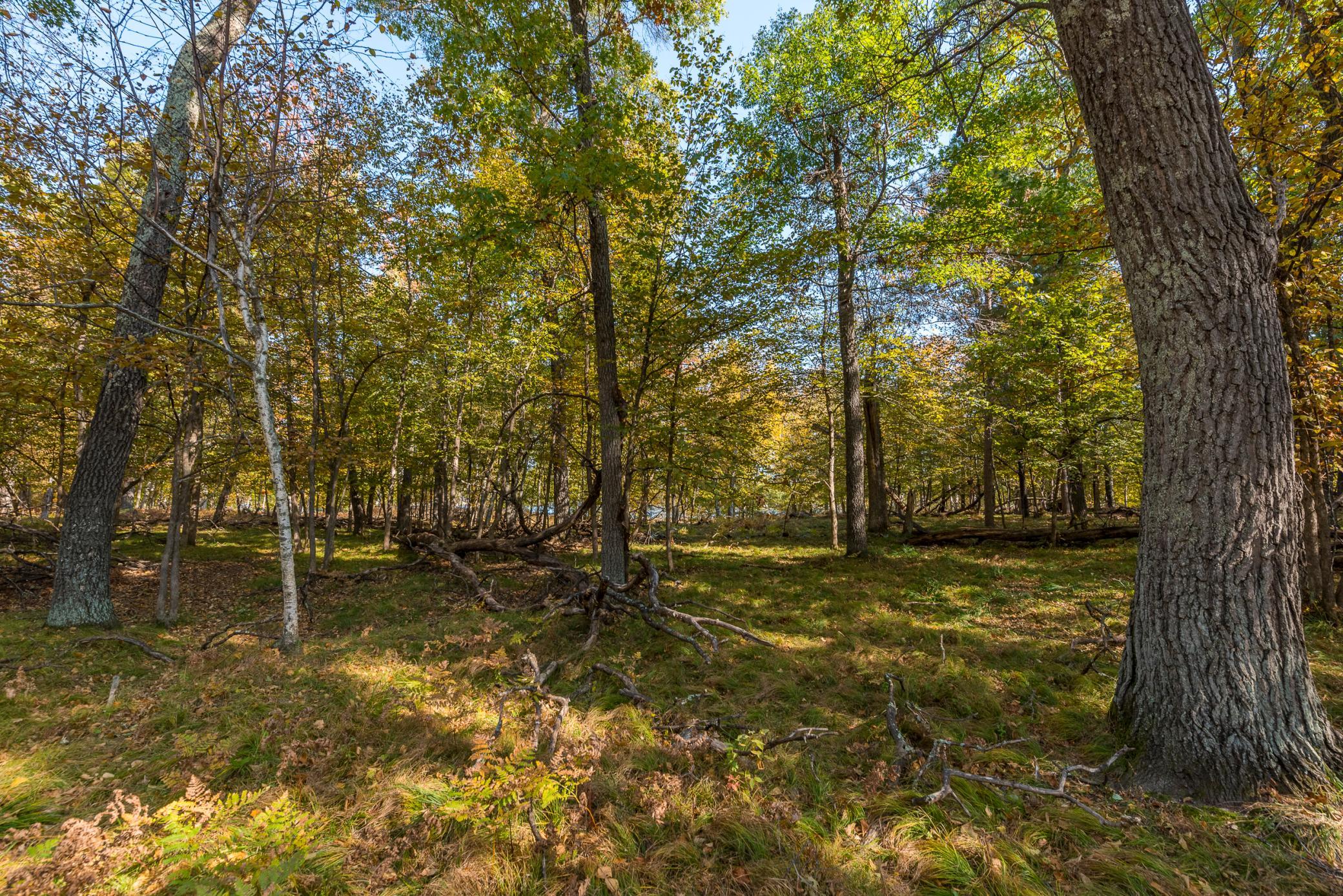 24583 Perrin Pt. Property Photo 10