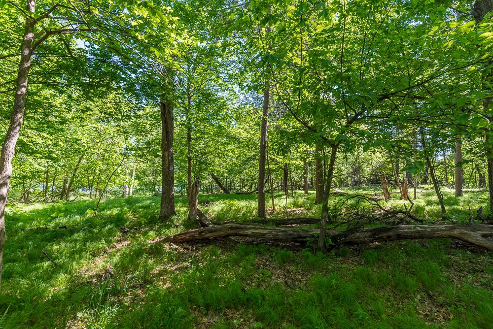 24583 Perrin Pt. Property Photo 14