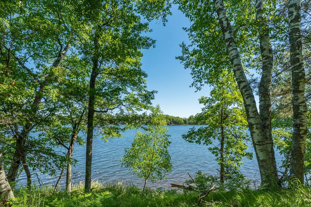 24583 Perrin Pt. Property Photo 16