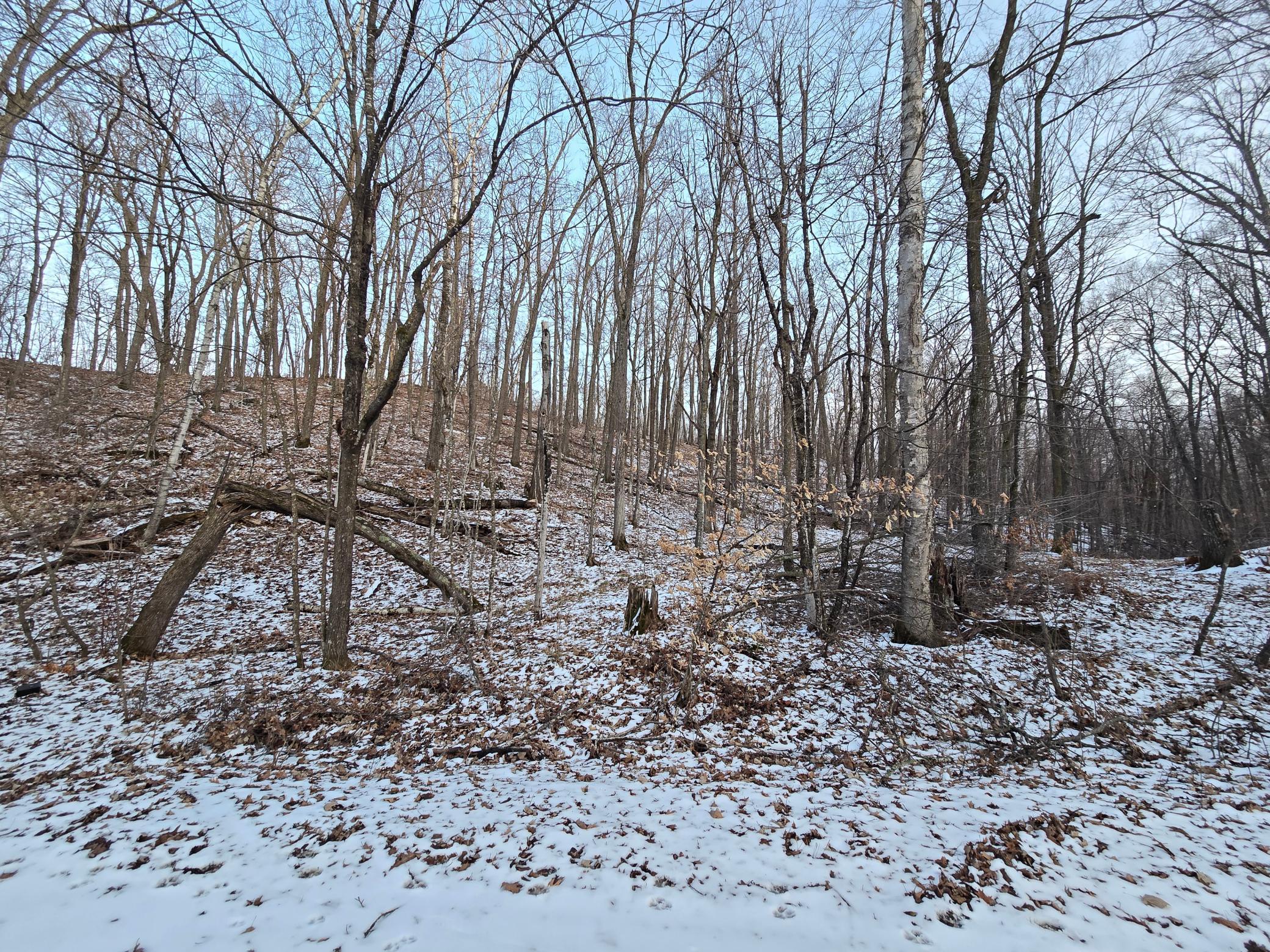 Lot25blk1 Westward Ho Property Photo 2