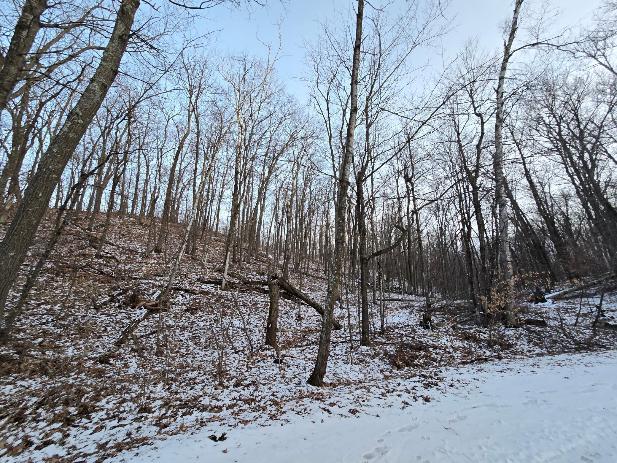 Lot25blk1 Westward Ho Property Photo 4