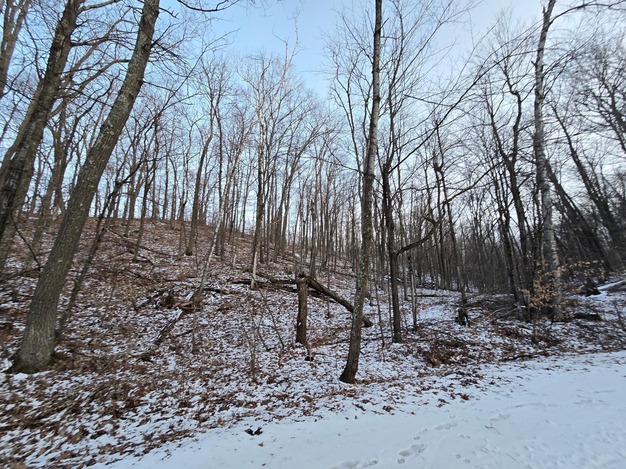 Lot25blk1 Westward Ho Property Photo 5
