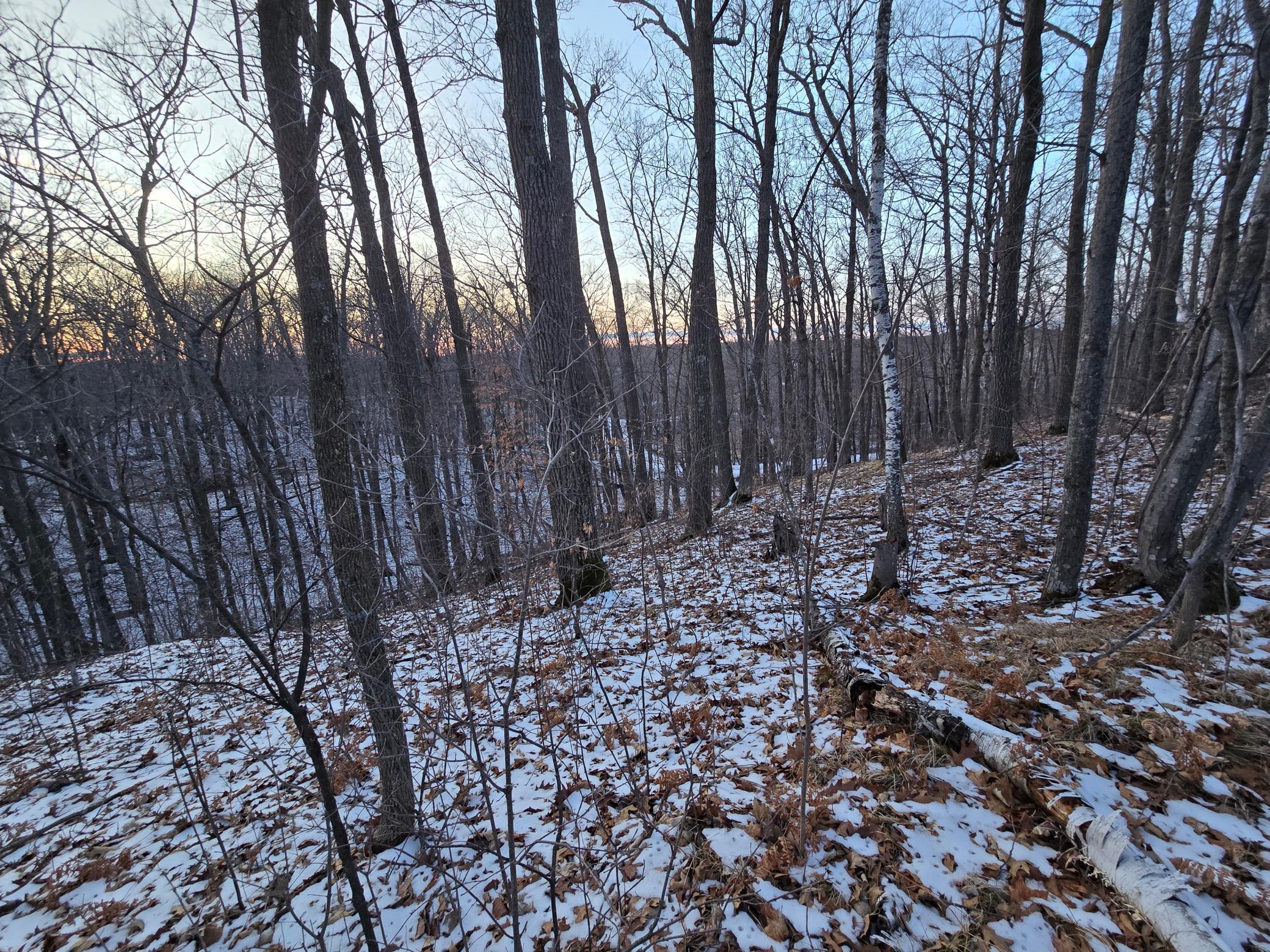Lot25blk1 Westward Ho Property Photo 14
