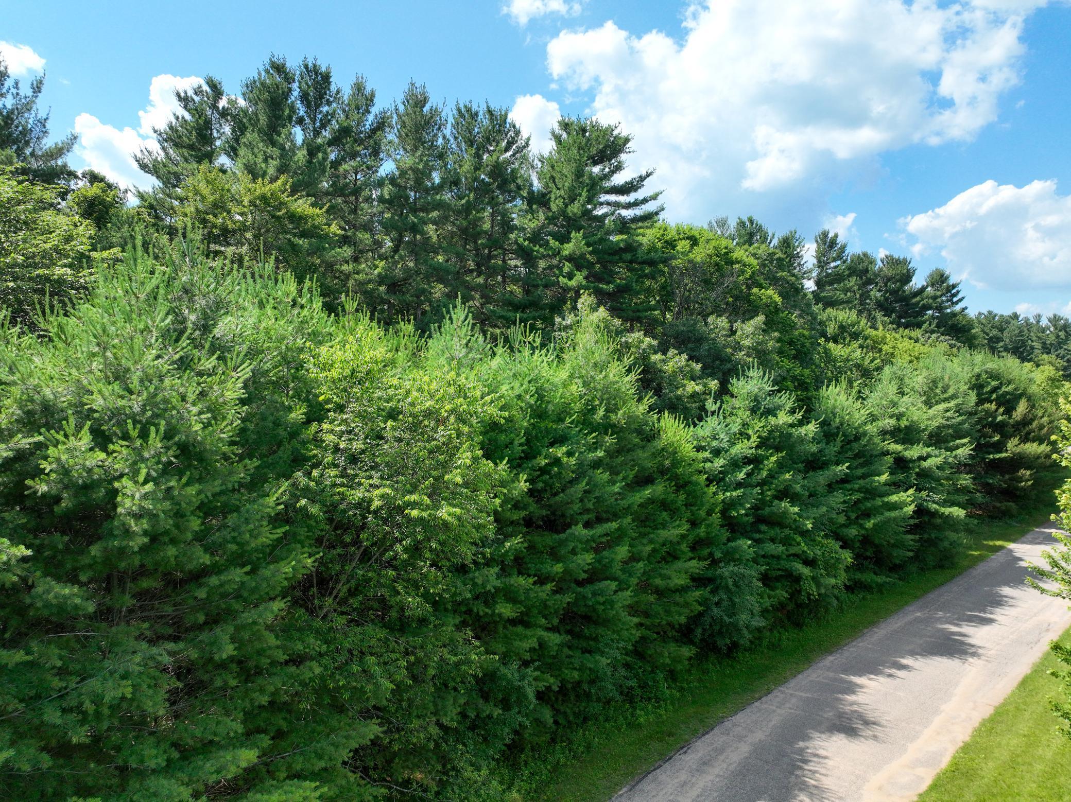 Lot 36 549th Street Property Photo 12