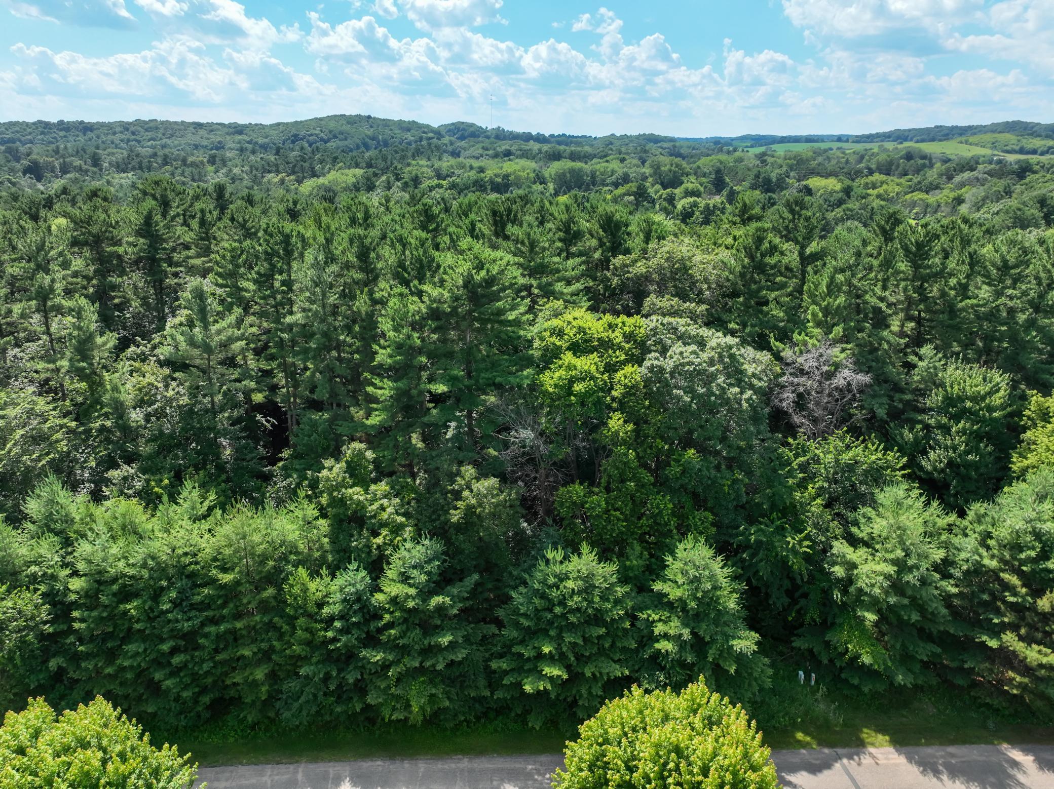 Lot 36 549th Street Property Photo 13