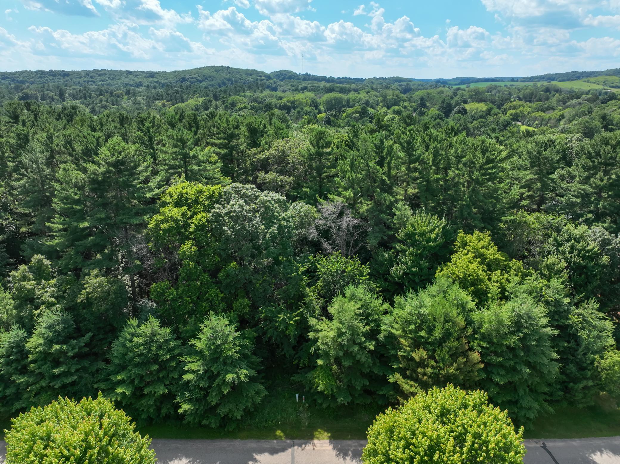 Lot 34, 35 & 36 549th Street Property Photo 16