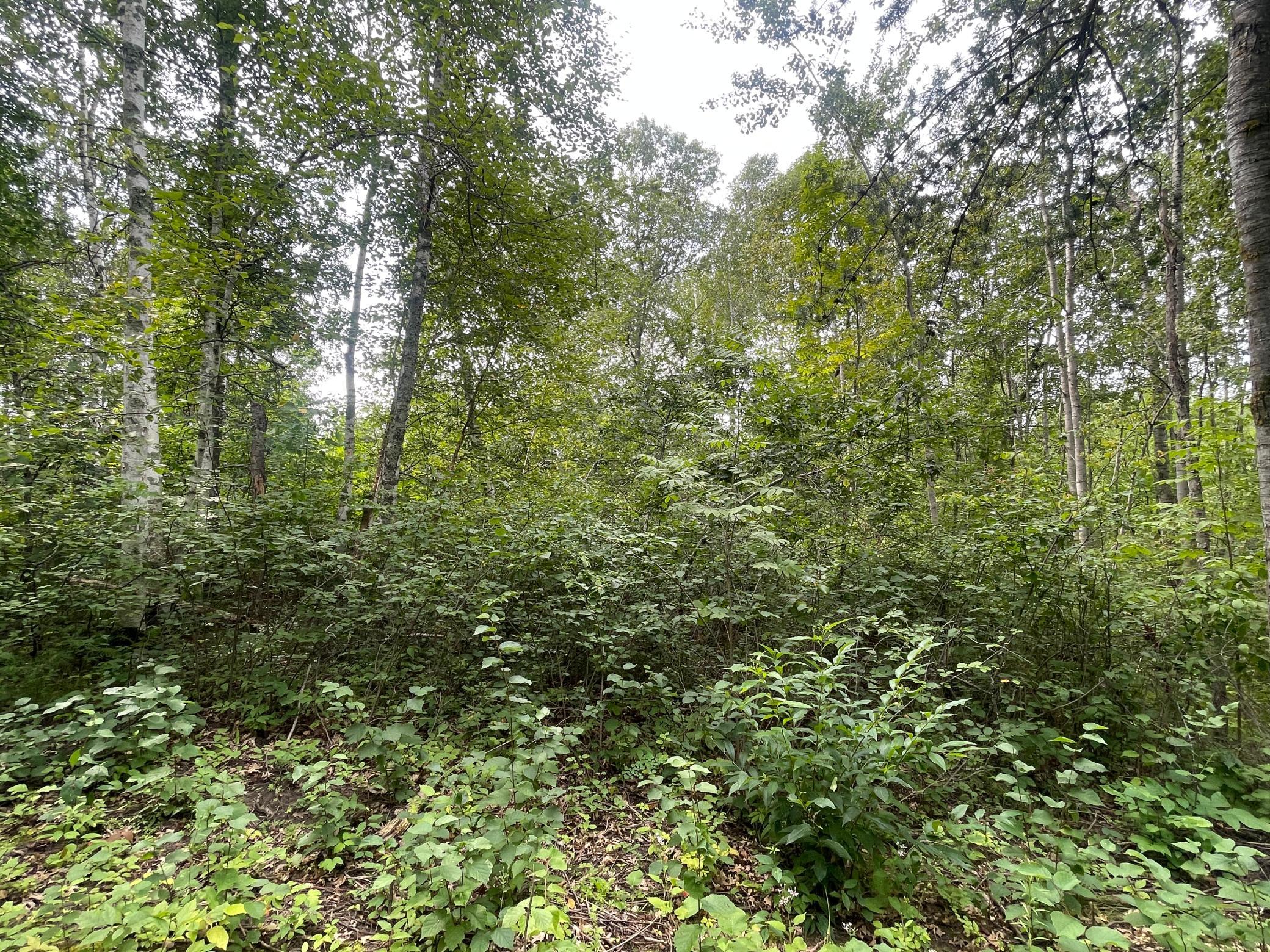 Lot 4 Patriot Ave Property Photo 7