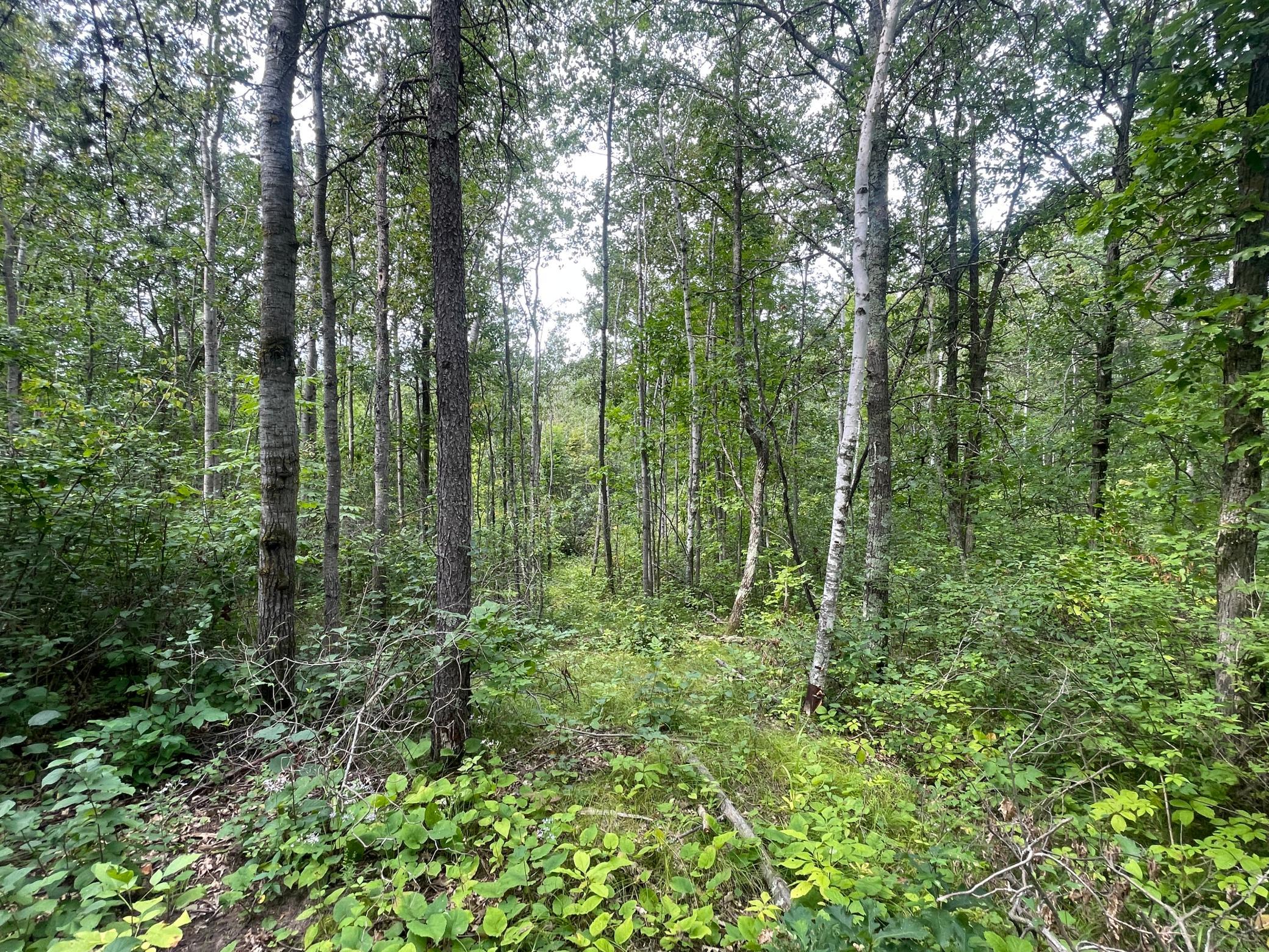 Lot 4 Patriot Ave Property Photo 8