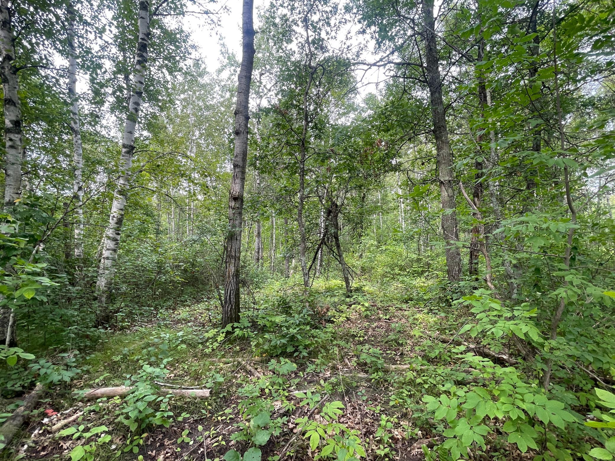 Lot 4 Patriot Ave Property Photo 9