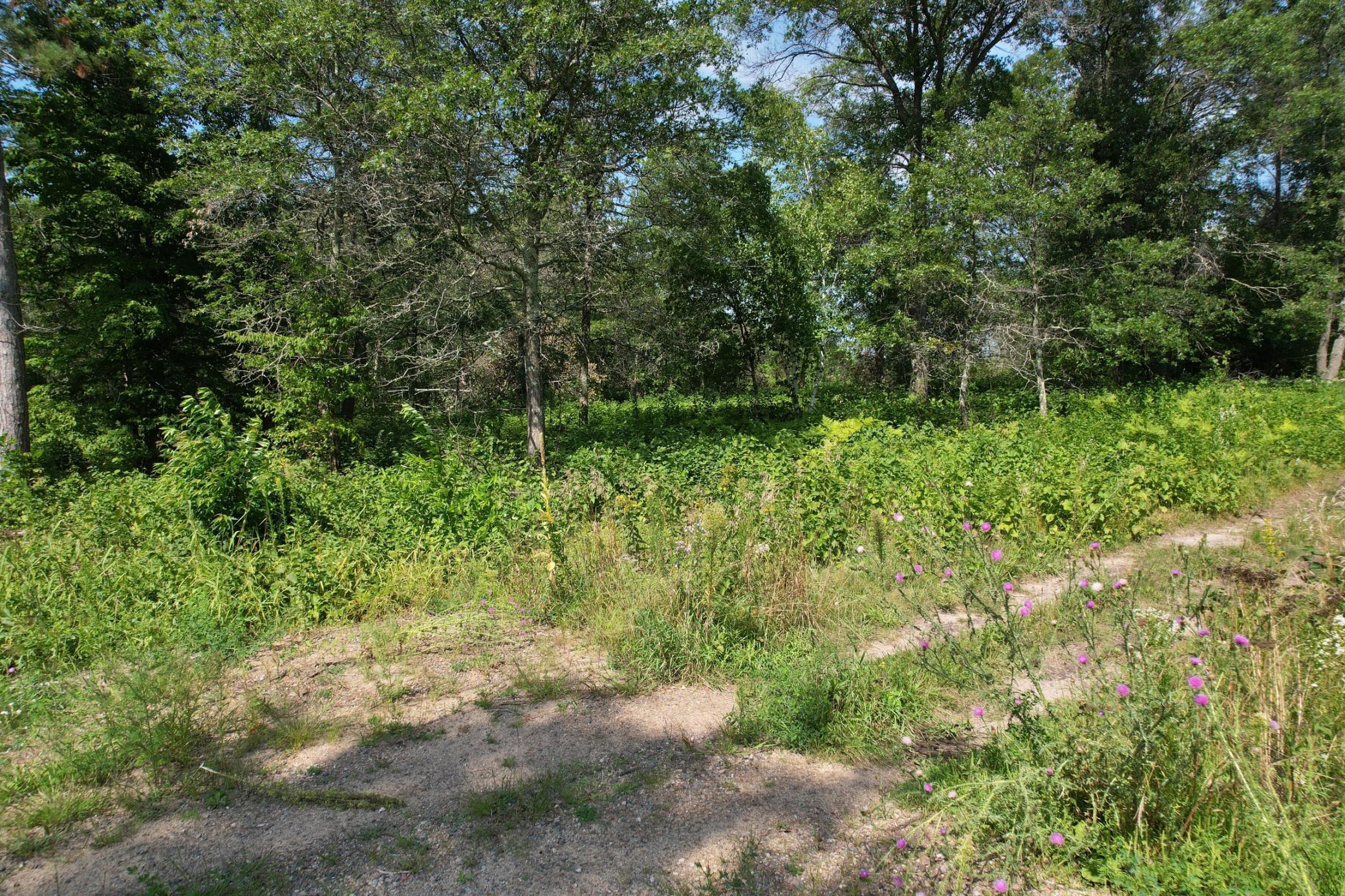 Lot 4 Patriot Ave Property Photo 30