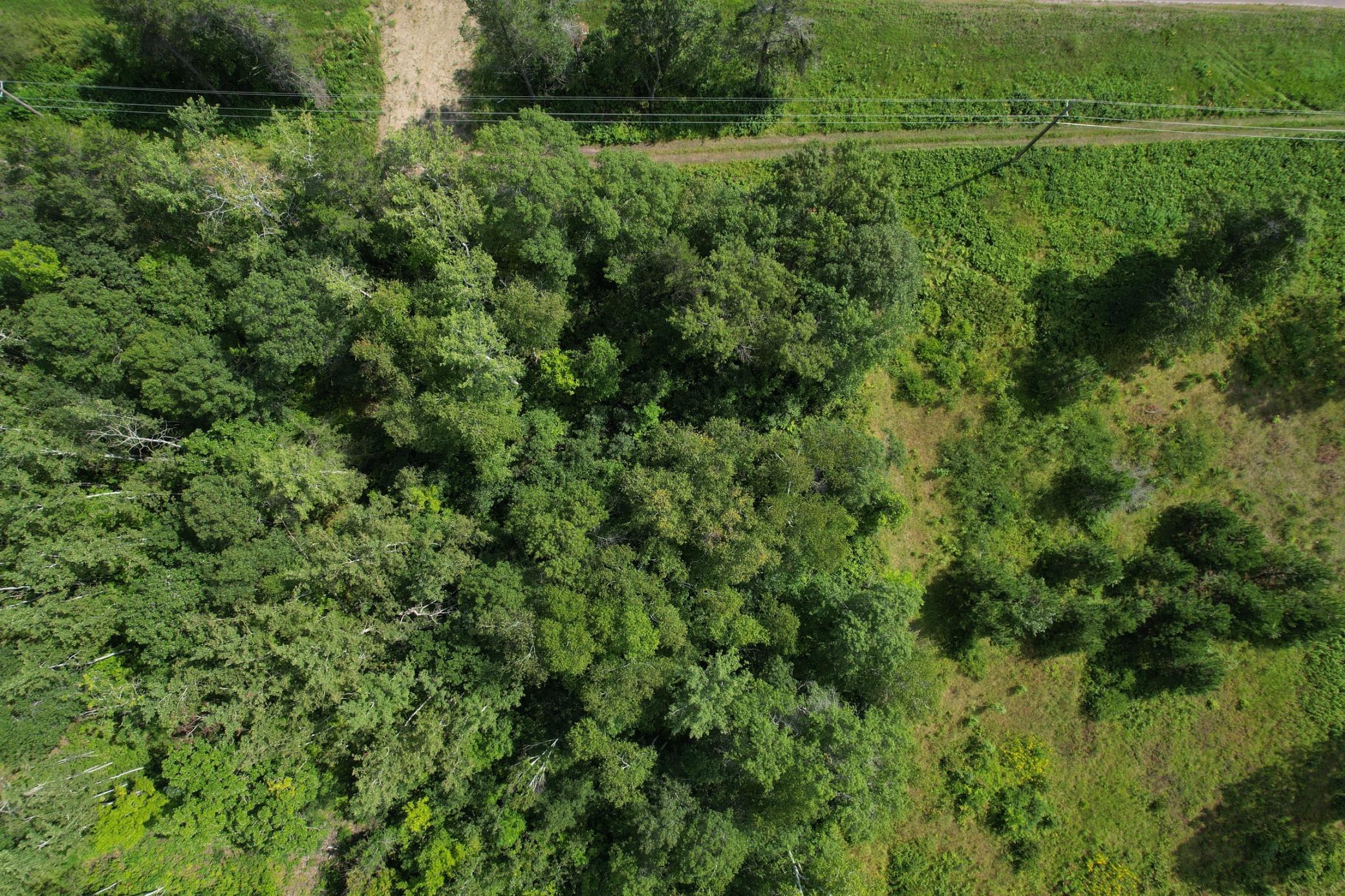 Lot 4 Patriot Ave Property Photo 35
