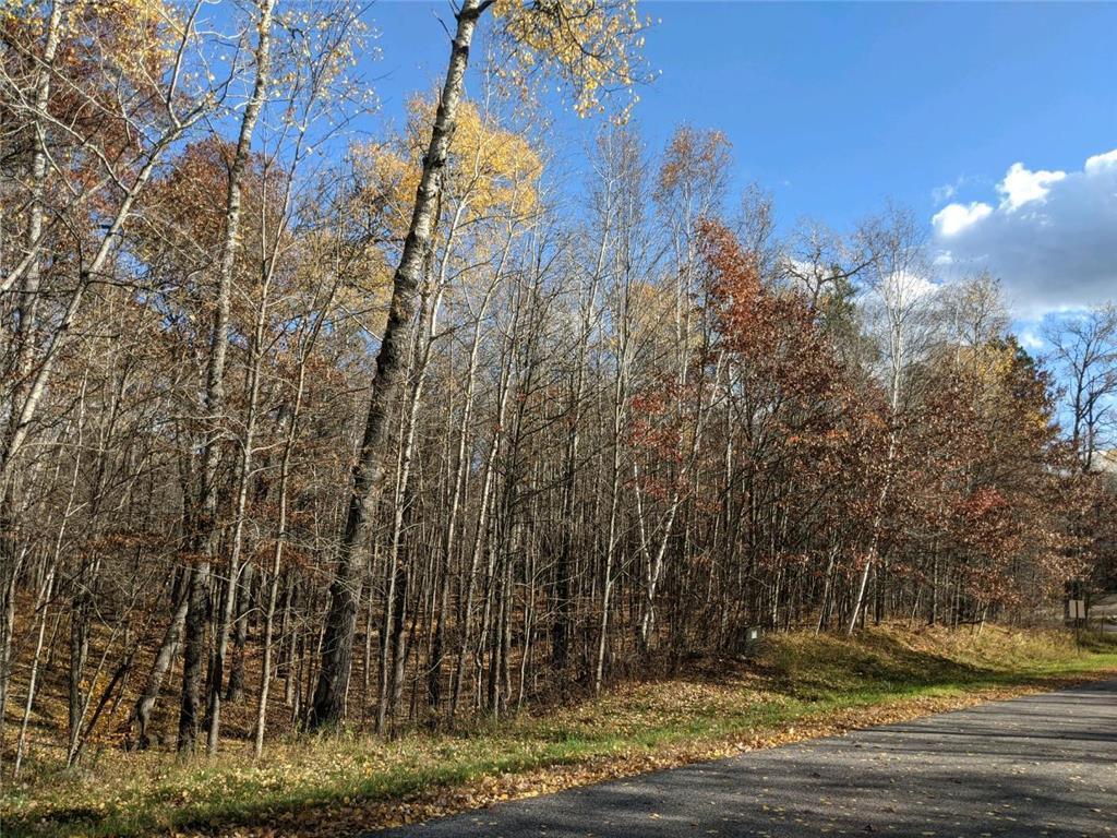 L10 B17 Green Scene Drive Property Photo 3