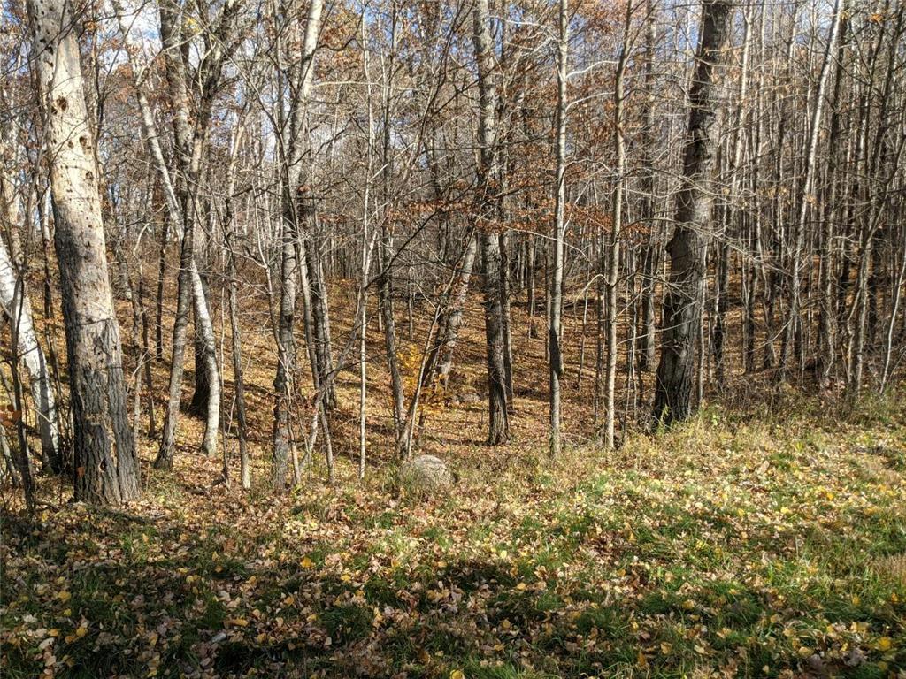 L10 B17 Green Scene Drive Property Photo 4