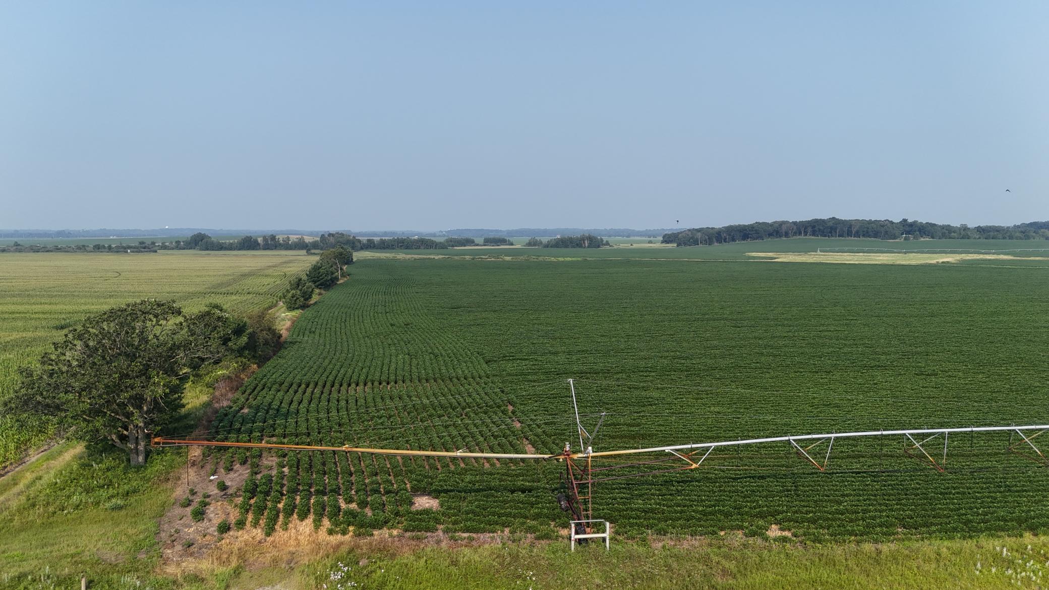 Tbd County 61 Property Photo 10