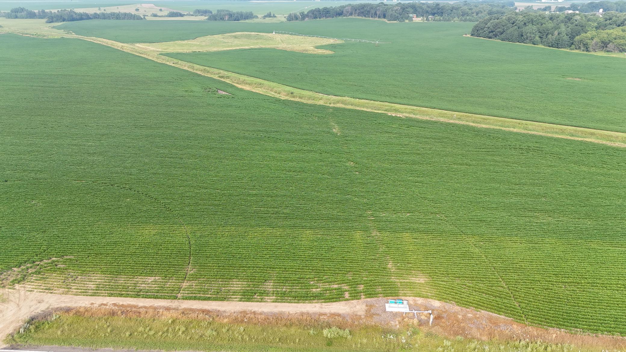 Tbd County 61 Property Photo 11