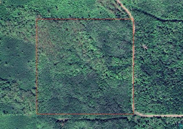 Xxx Clover Cemetary Rd Property Photo 1