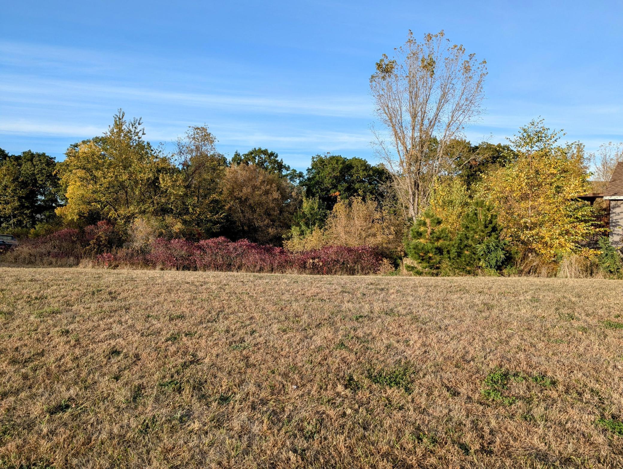 505 Aspen Avenue Property Photo 2