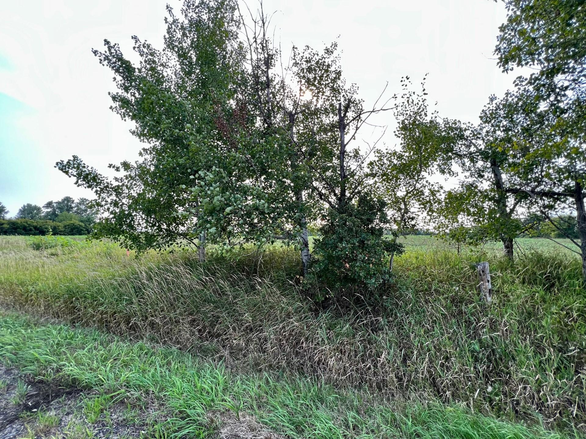 Xxxxx Jeffrey Ave N - Parcel A Property Photo 3