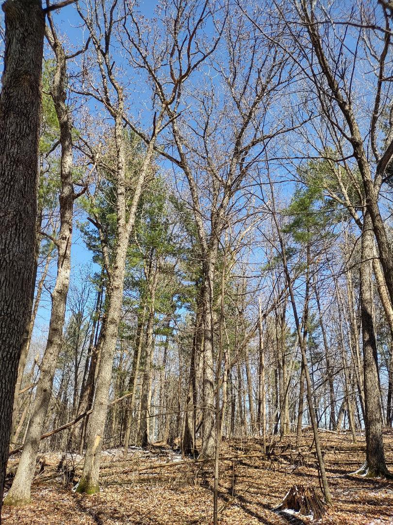 Lot 35 N4xx 297th Street Property Photo 13