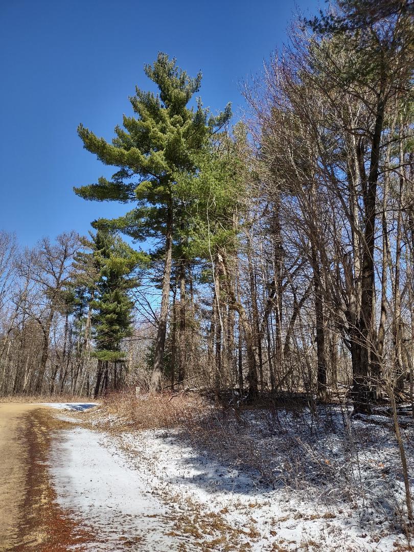 Lot 35 N4xx 297th Street Property Photo 17