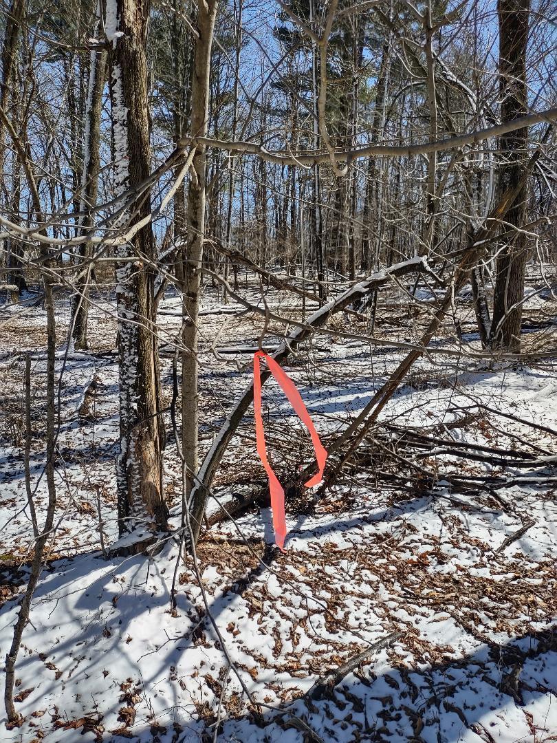 Lot 35 N4xx 297th Street Property Photo 19
