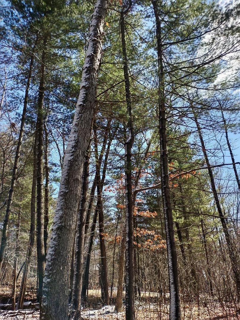 Lot 18 N4XX 297th Street
