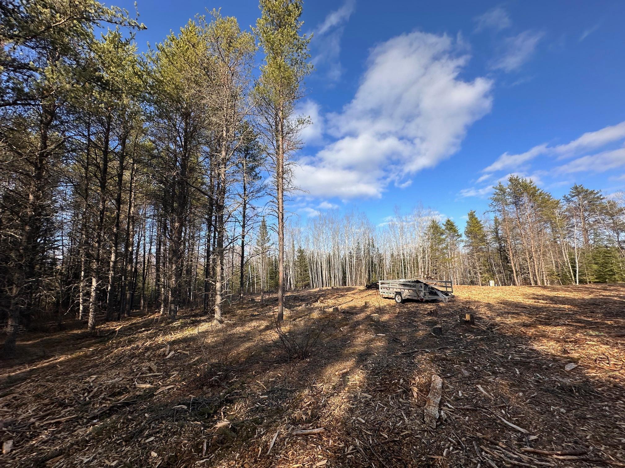 8308 Highway 21 Property Photo 1