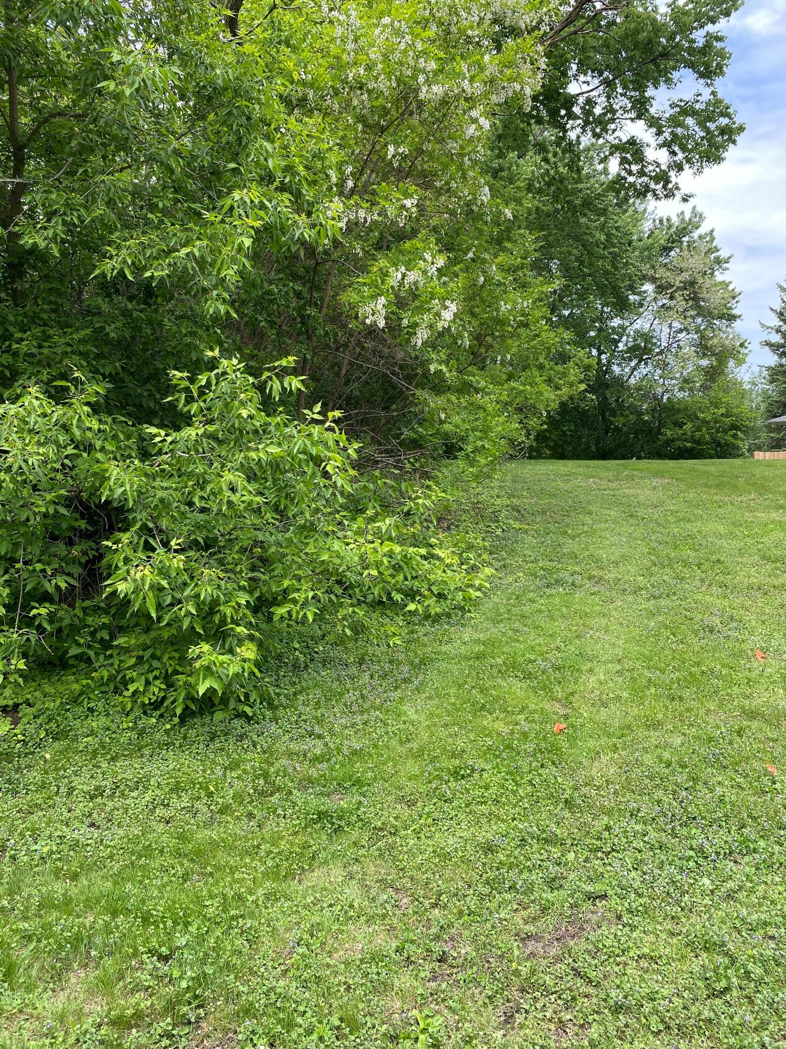 4532 Fairview Avenue Property Photo 1