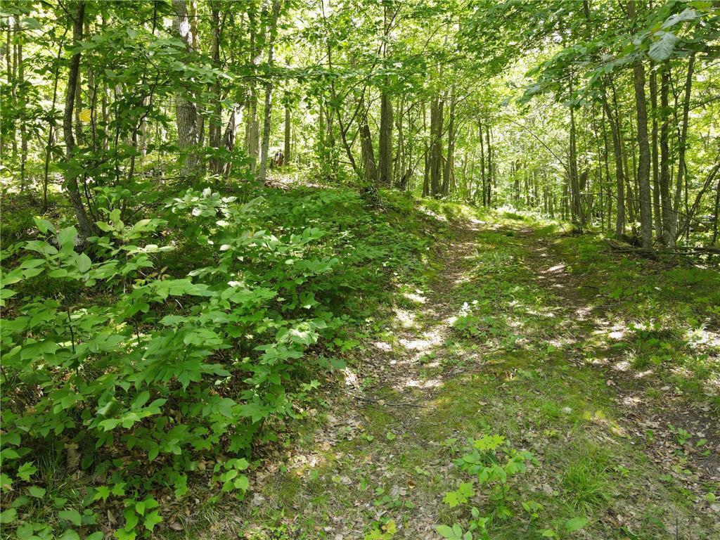 Tbd Idas Road Property Photo 3