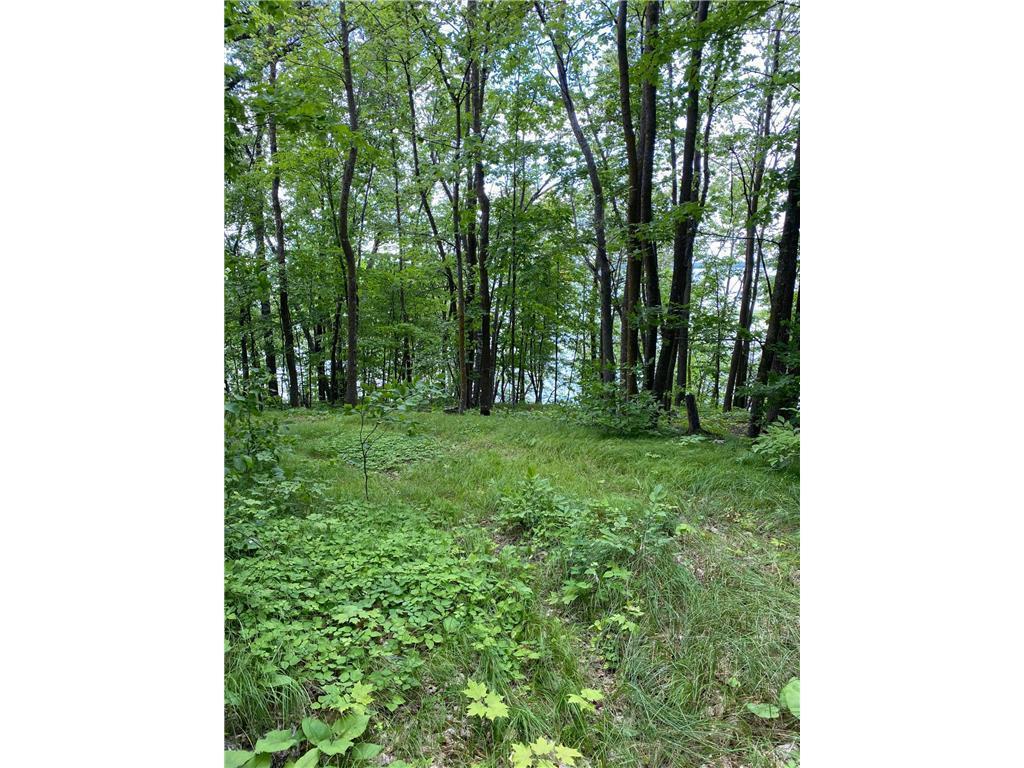 Tbd Idas Road Property Photo 4
