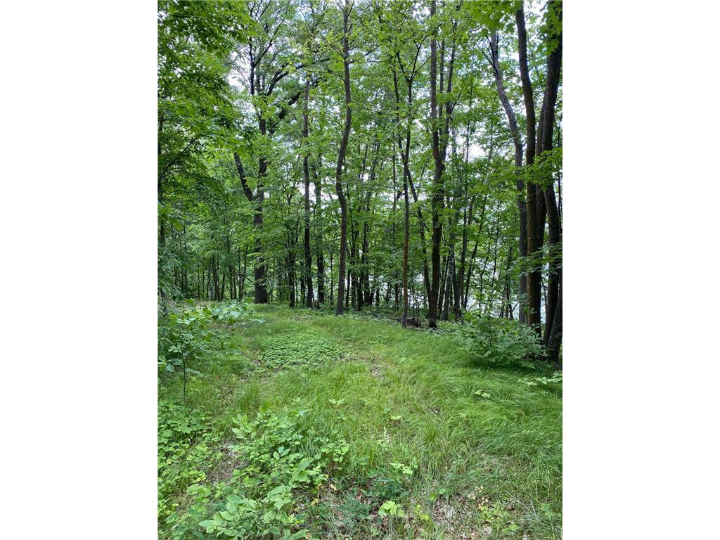 Tbd Idas Road Property Photo 6
