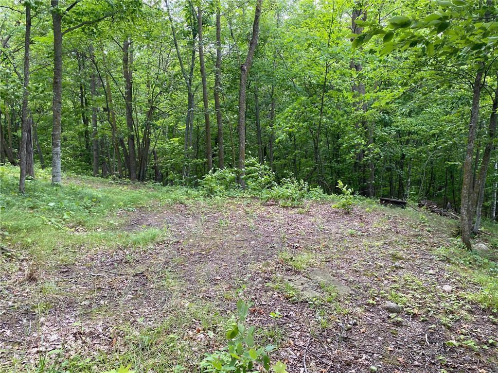Tbd Idas Road Property Photo 7