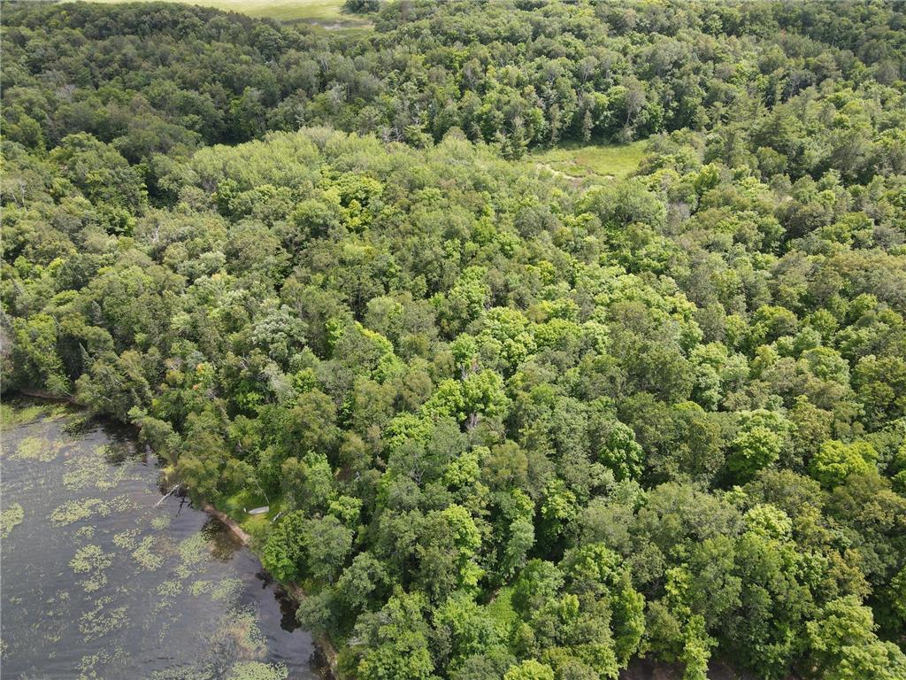 Tbd Idas Road Property Photo 13