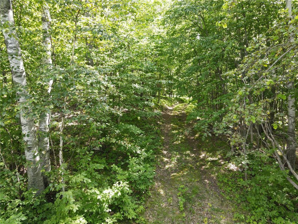 Tbd Idas Road Property Photo 16