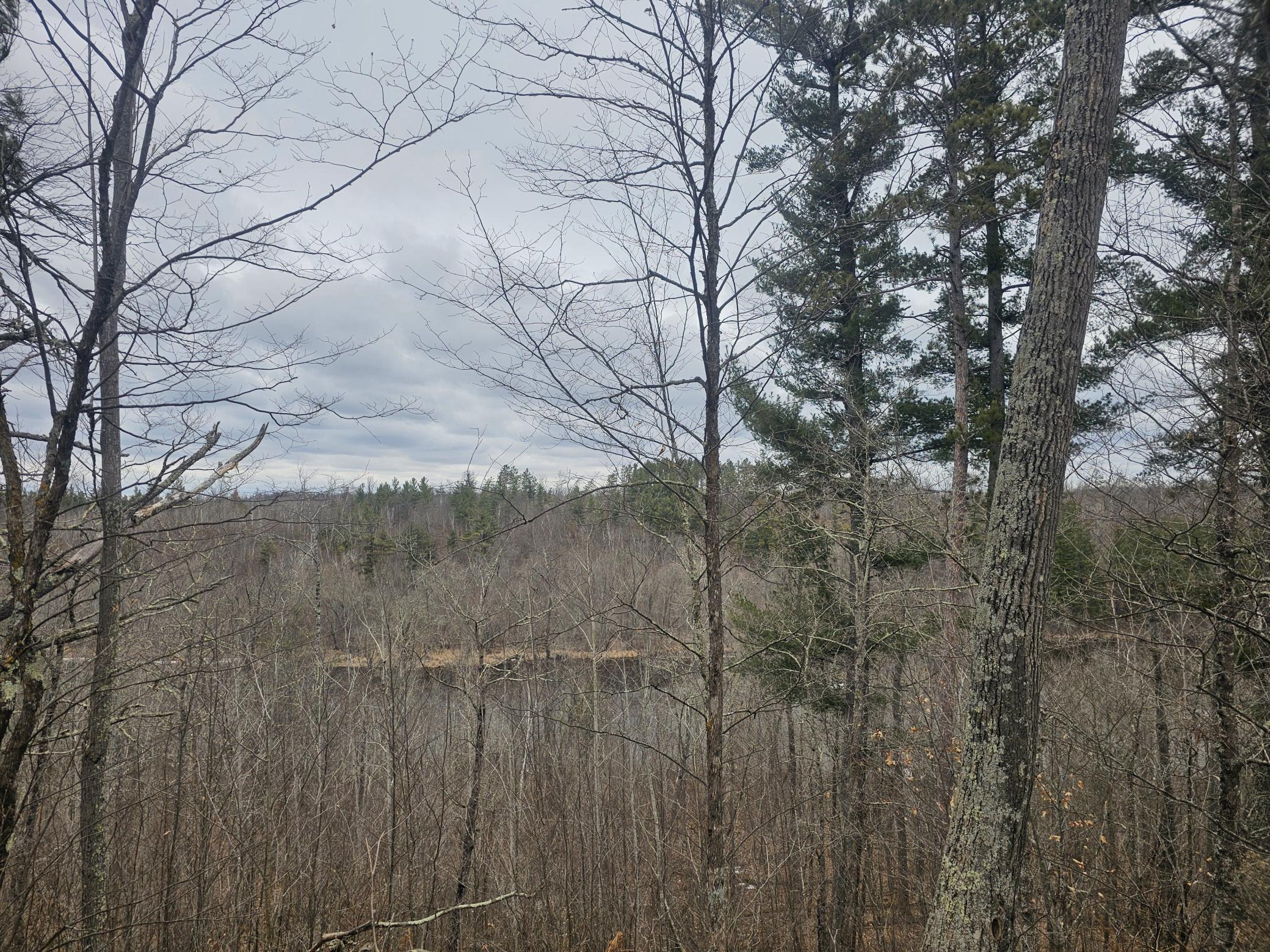 Lot 6 Kelly Lane Property Photo
