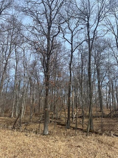 Tbd Delaware Trail Property Photo 1