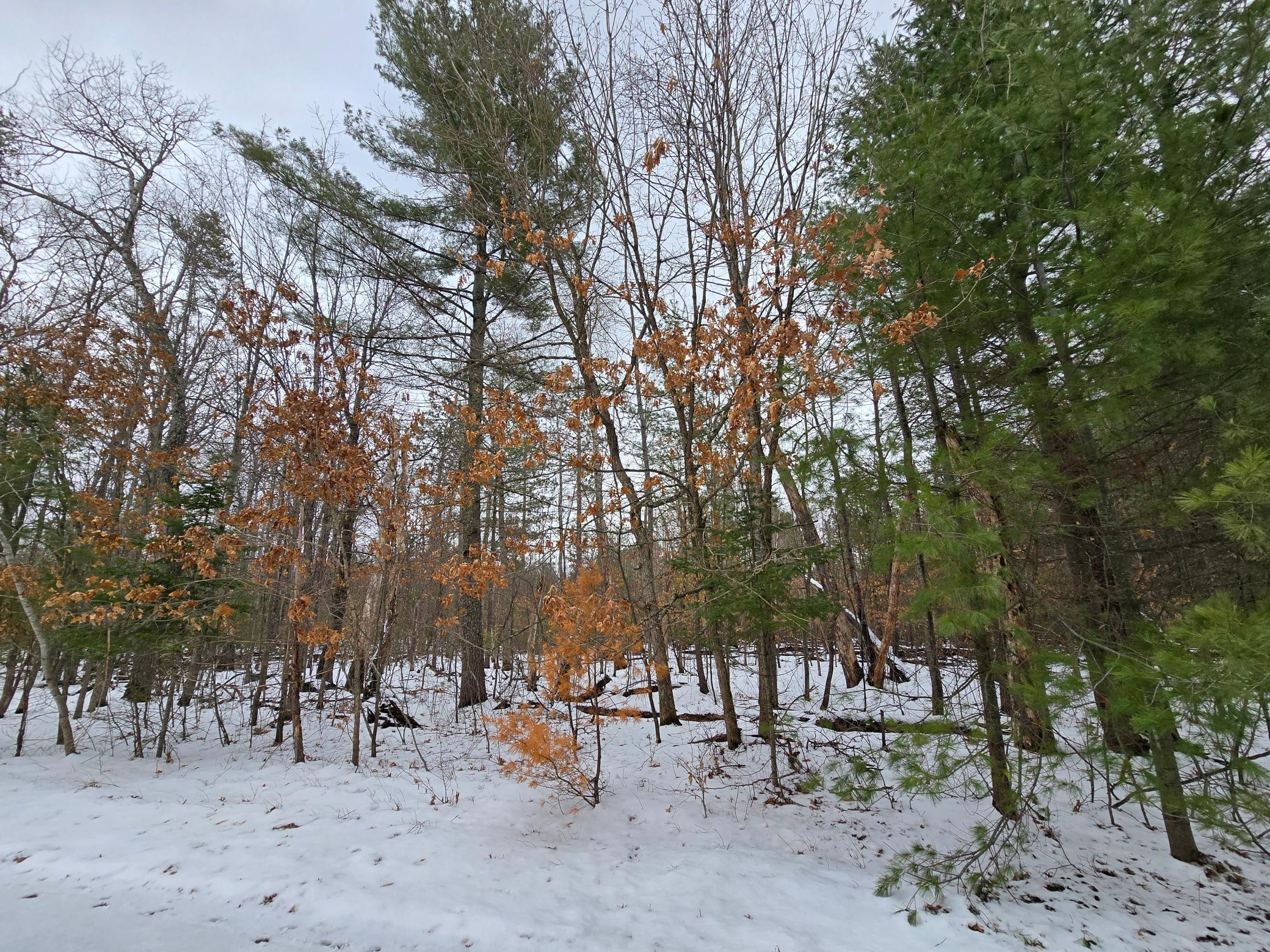 Lot 2 Long Lake Road Property Photo 2