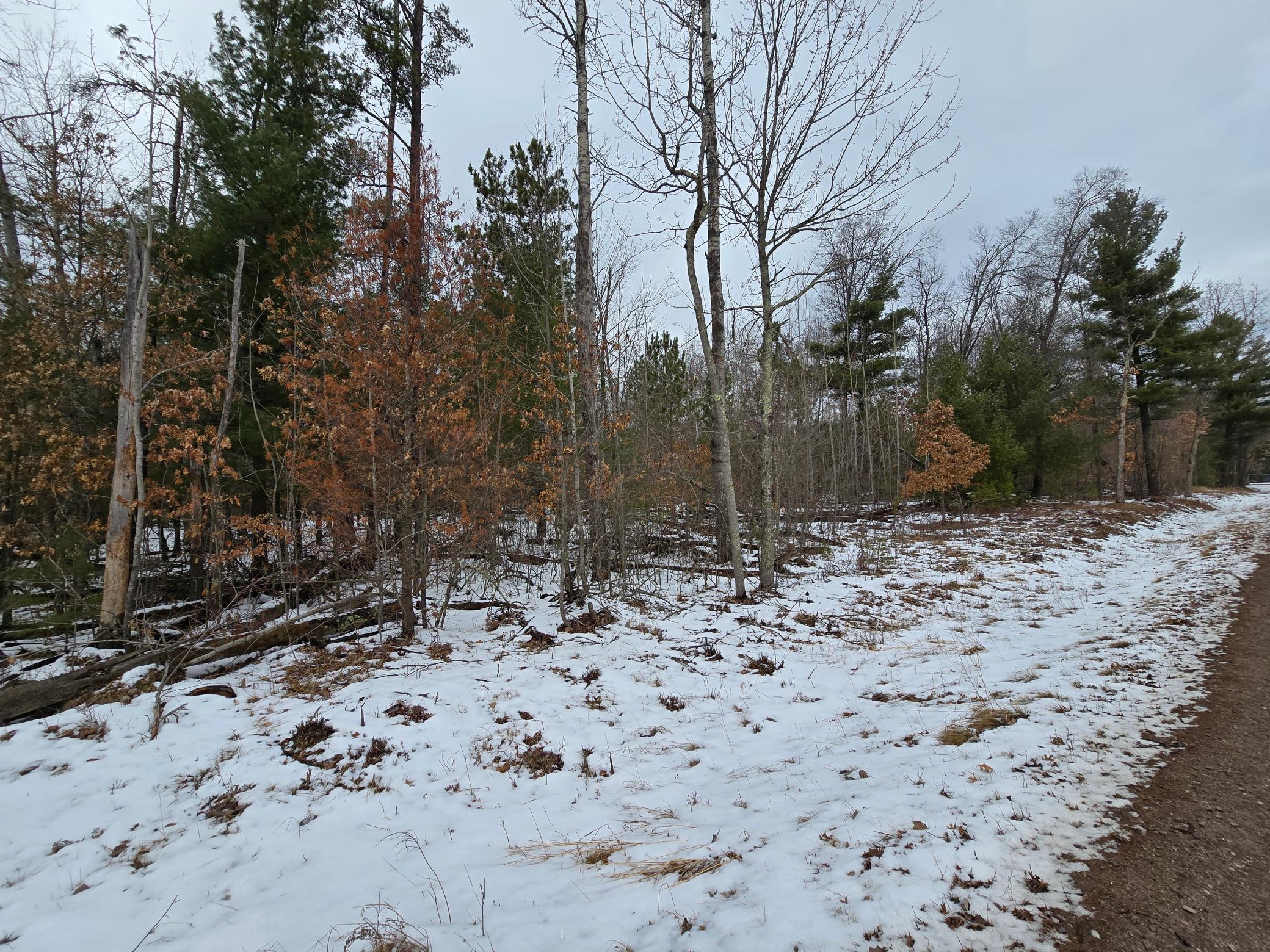 Lot 2 Long Lake Road Property Photo 3